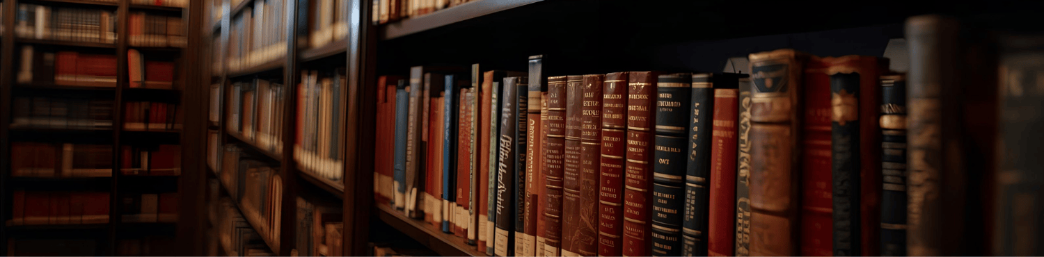 Medieninhalt - Feld 1